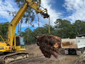Excavation | Earthworks | Gold Coast | Qld Earthworks | Tree Clearing